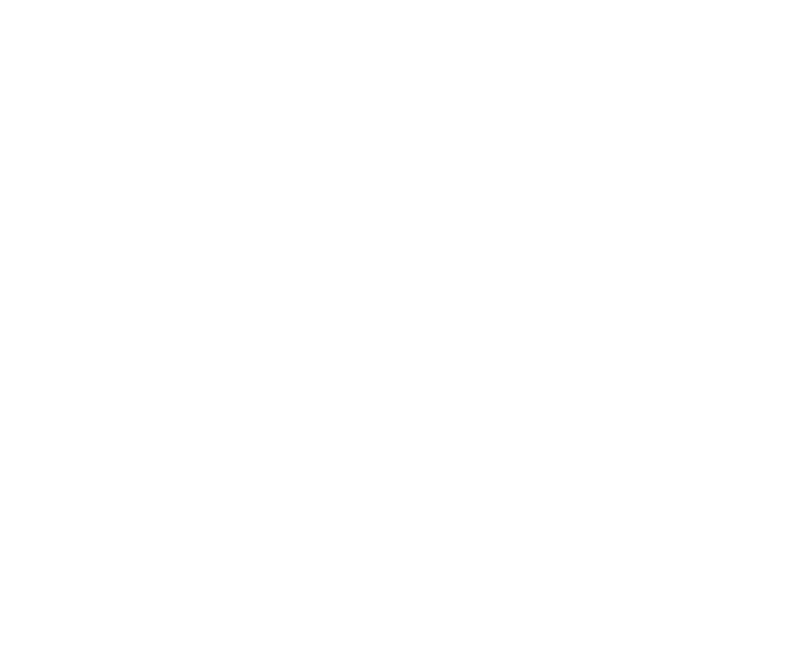 Middleton Made Knives