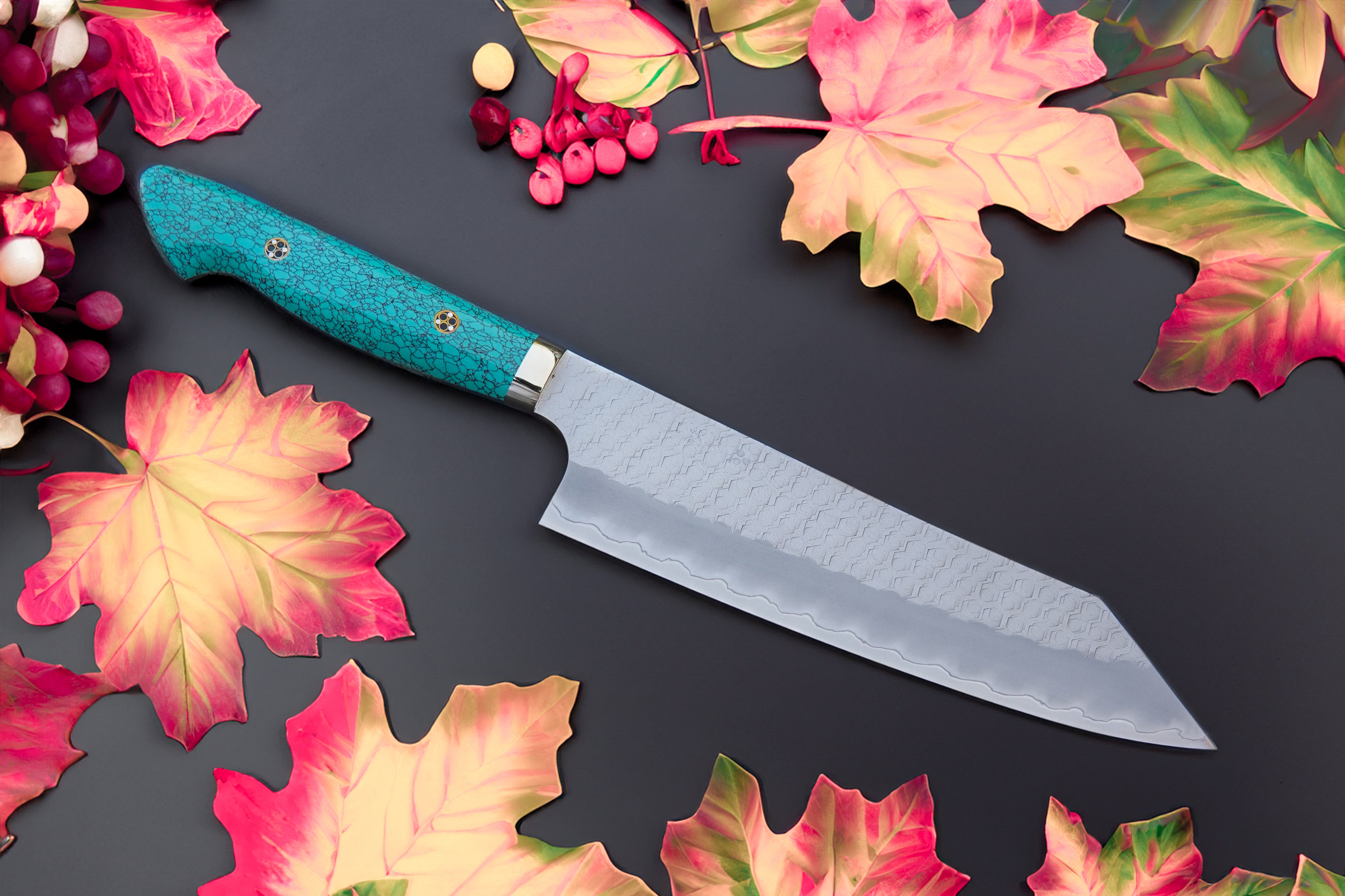 Tsunehisa Migaki SRS13 210mm Gyuto